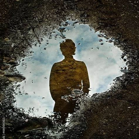 A quiet silhouette of a person standing near a puddle, their reflection visible in the water — representing self-reflection, emotional isolation, and the inner search for meaning after success.